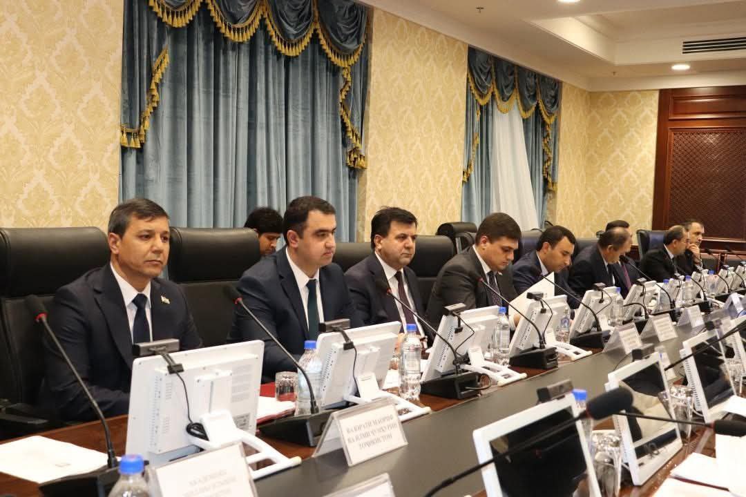 Баргузории ҷаласаи Ситоди байниидоравӣ оид ба ҳамоҳангсозии амалишавии сиёсати макроиқтисодӣ ва пешгирии таъсири хавфҳои эҳтимолӣ ба иқтисодиёти миллӣ img