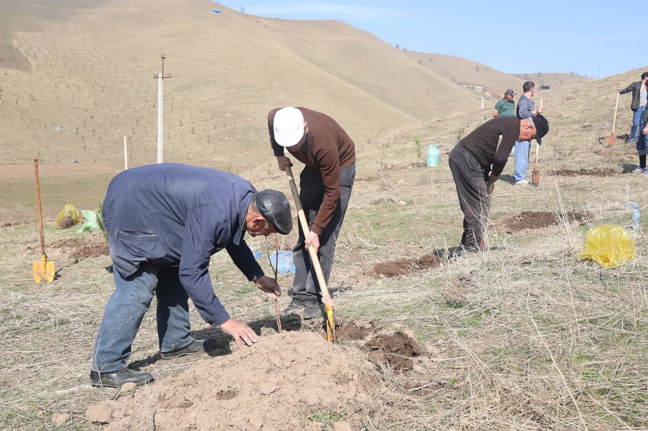 АМАЛИШАВИИ БАРНОМАИ ДАВЛАТИИ КАБУДИЗОРКУНӢ: САҲМИ ВАЗОРАТИ МАОРИФ ВА ИЛМ ДАР ҲИФЗИ ТАБИАТ img