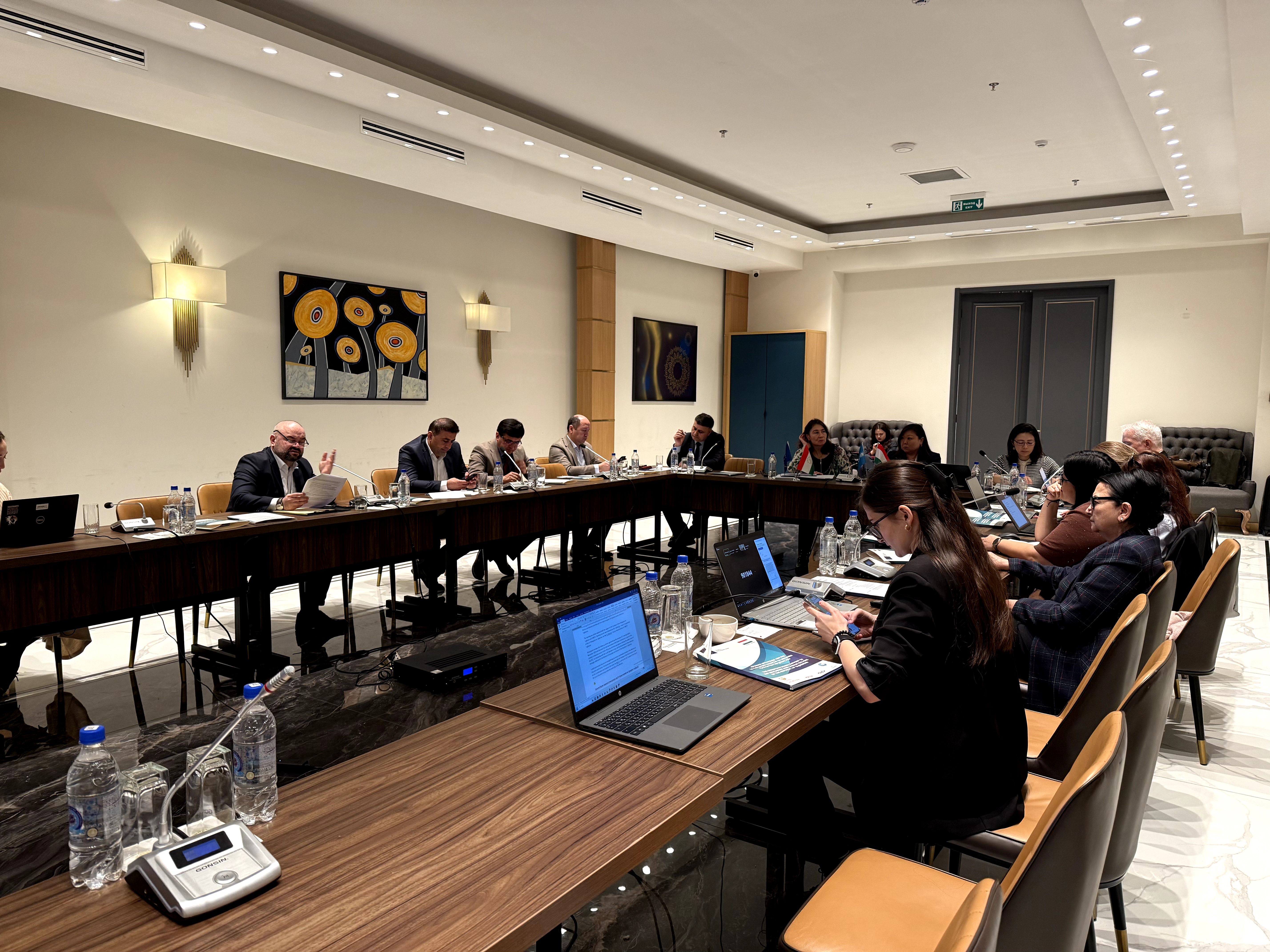 Ҷаласаи Шӯрои ҳамоҳангсозии донорҳо оид ба бахши маориф дар Ҷумҳурии Тоҷикистон img