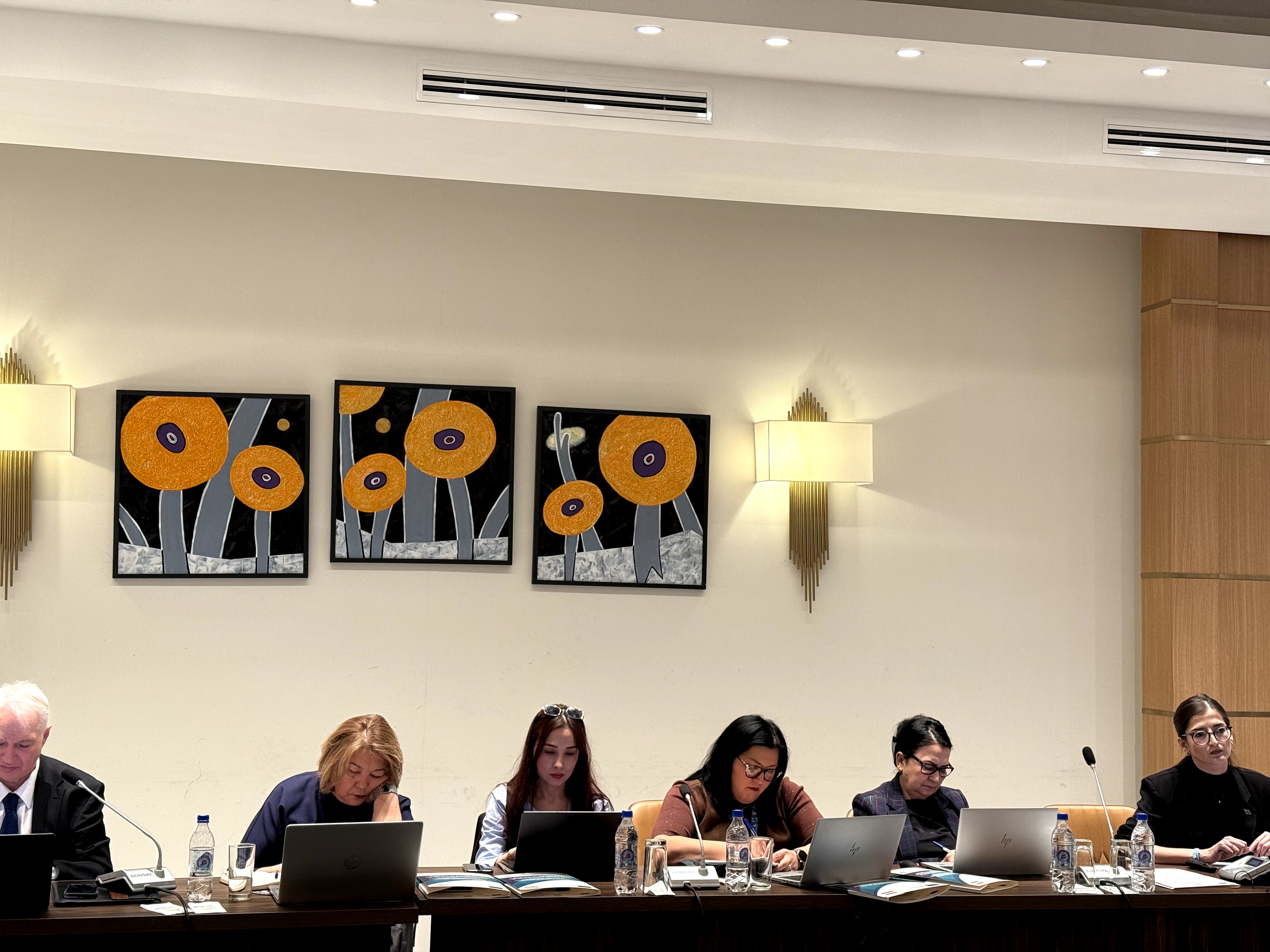 Ҷаласаи Шӯрои ҳамоҳангсозии донорҳо оид ба бахши маориф дар Ҷумҳурии Тоҷикистон img