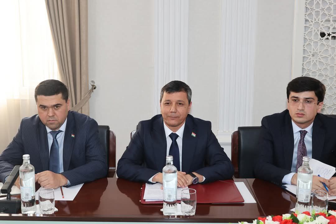 ТАҲКИМИ ҲАМКОРИҲО БО ҶАМЪИЯТИ ҲАМКОРИИ БАЙНАЛМИЛАЛИИ ОЛМОН (GIZ) img